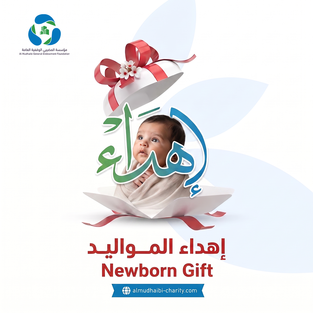  Newborn Gift 